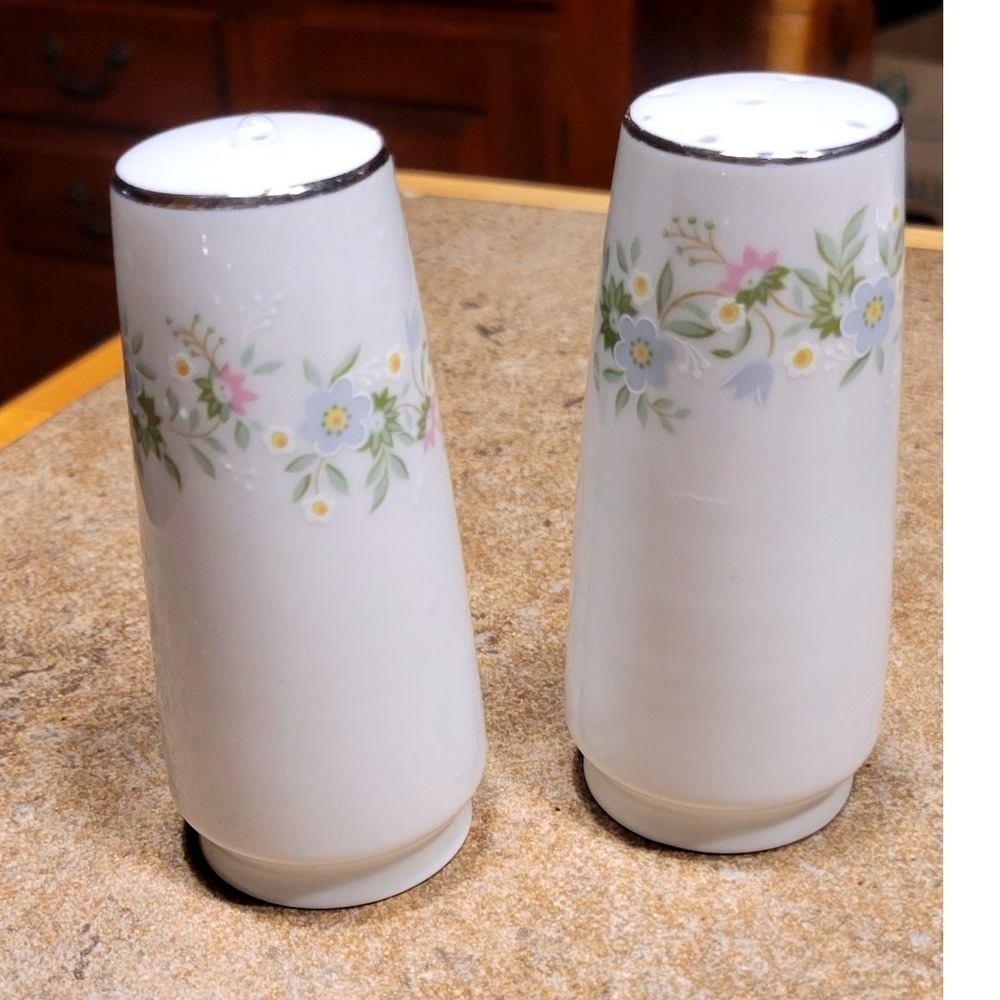 Johann Haviland Bavaria Forever Spring Salt Pepper Shakers Floral Silver Vintage